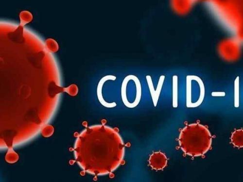 covid